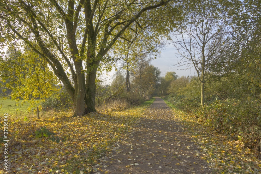 Herbstspaziergang in den Niepkuhlen