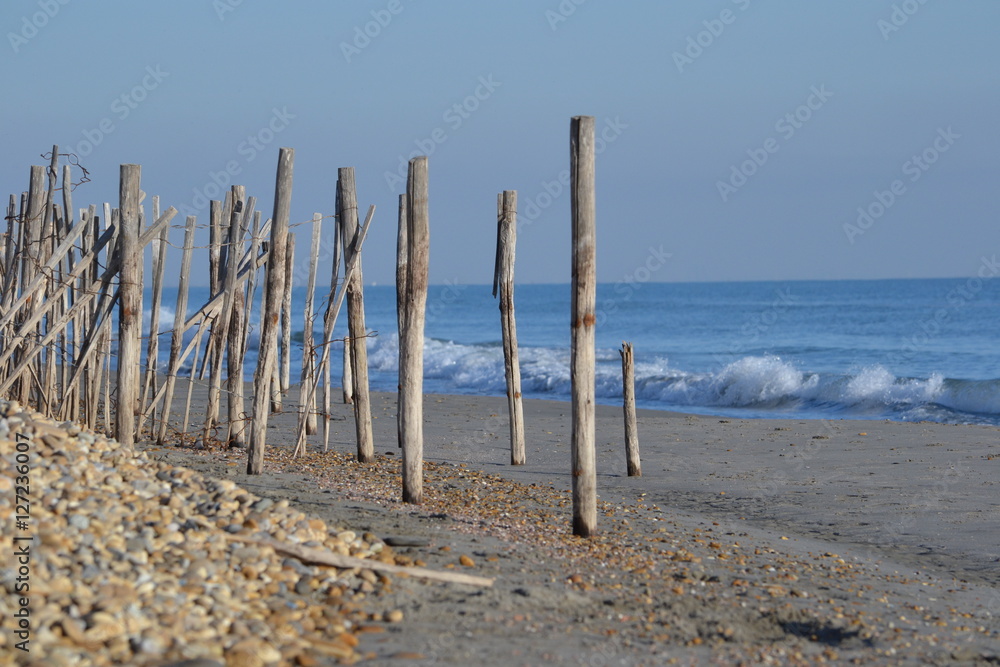 plage de camargue