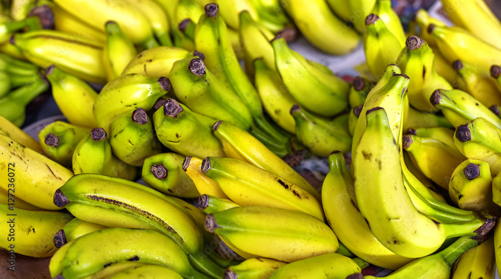 Tropical Hawaiian organic banana fruit