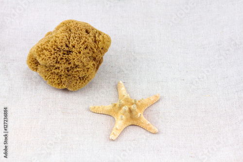Photography SPA objects. Starfish and sea sponge background.