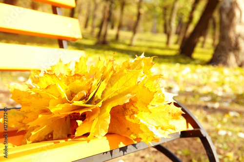 Bouquet of yellow maple leaves on bench in autumn park  close up