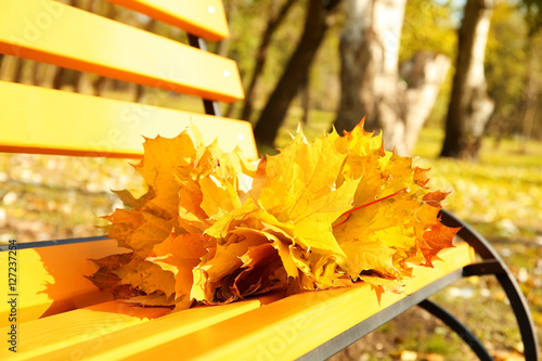 Bouquet of yellow maple leaves on bench in autumn park