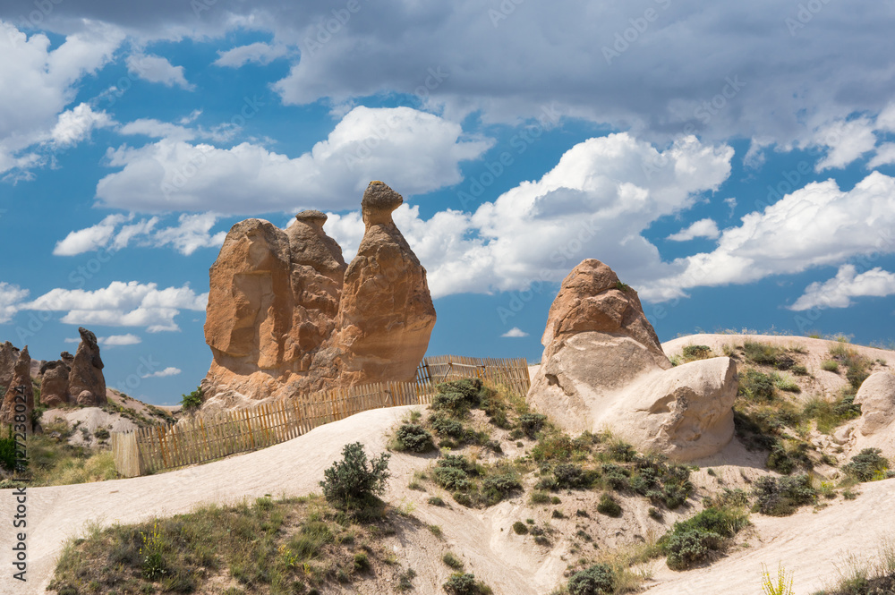 Camel rock in Cappadocia