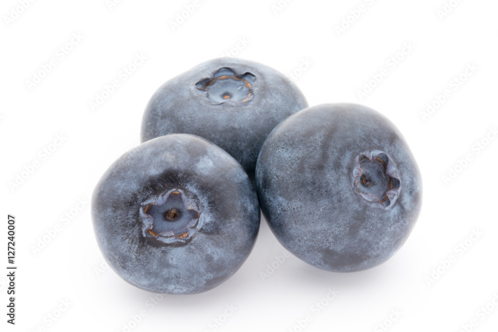 Close up of a blueberry branch isolated over white. Close up of a blueberry branch isolated over white.