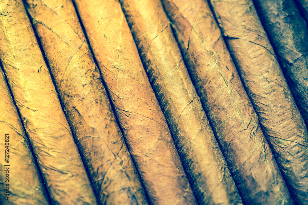 Fototapeta premium Close view on cuban hand rolled cigars
