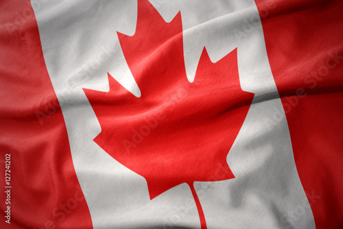 waving colorful flag of canada.