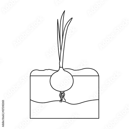 Onion icon in outline style isolated on white background. Plant symbol stock vector illustration.