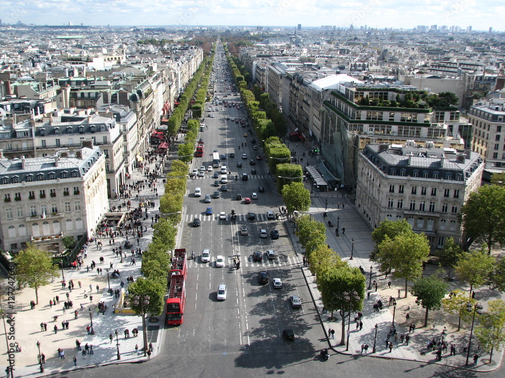 Champs Elysees - obrazy, fototapety, plakaty 