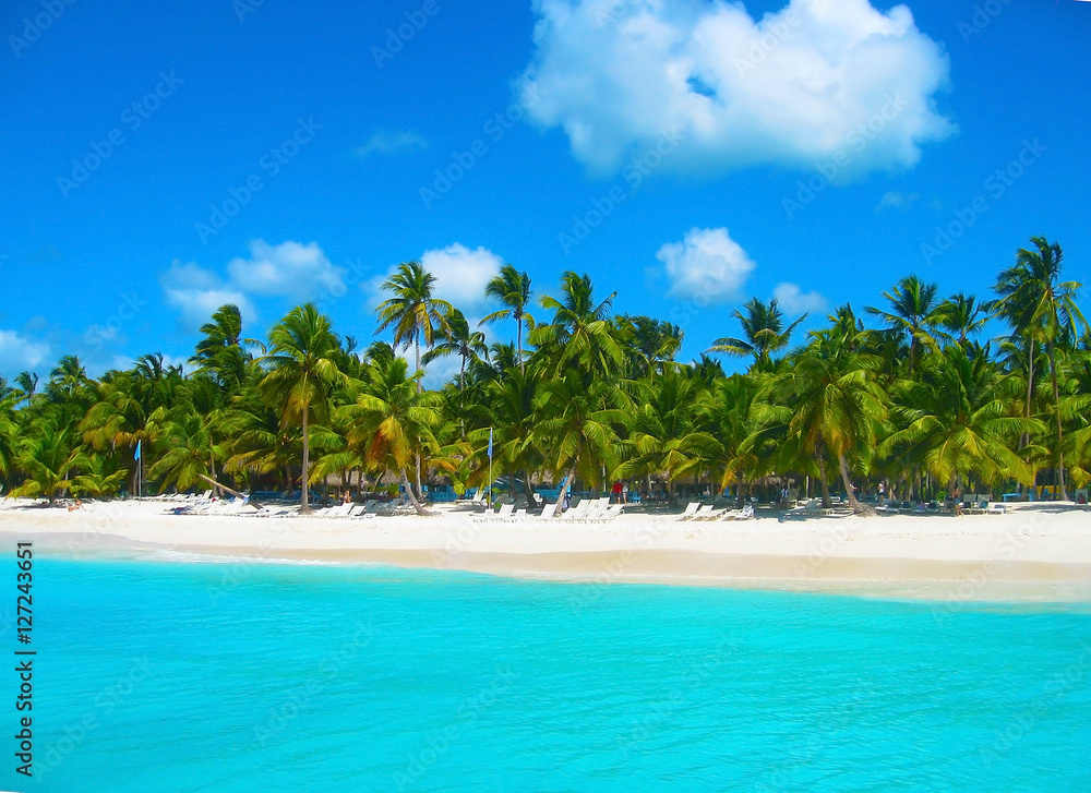 Tropical beach in caribbean sea, Saona island, Dominican Republic