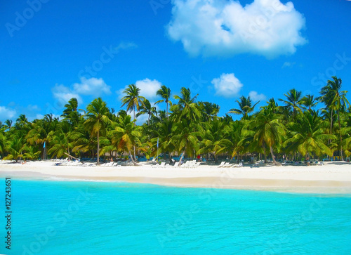 Fototapeta Naklejka Na Ścianę i Meble -  Tropical beach in caribbean sea, Saona island, Dominican Republic
