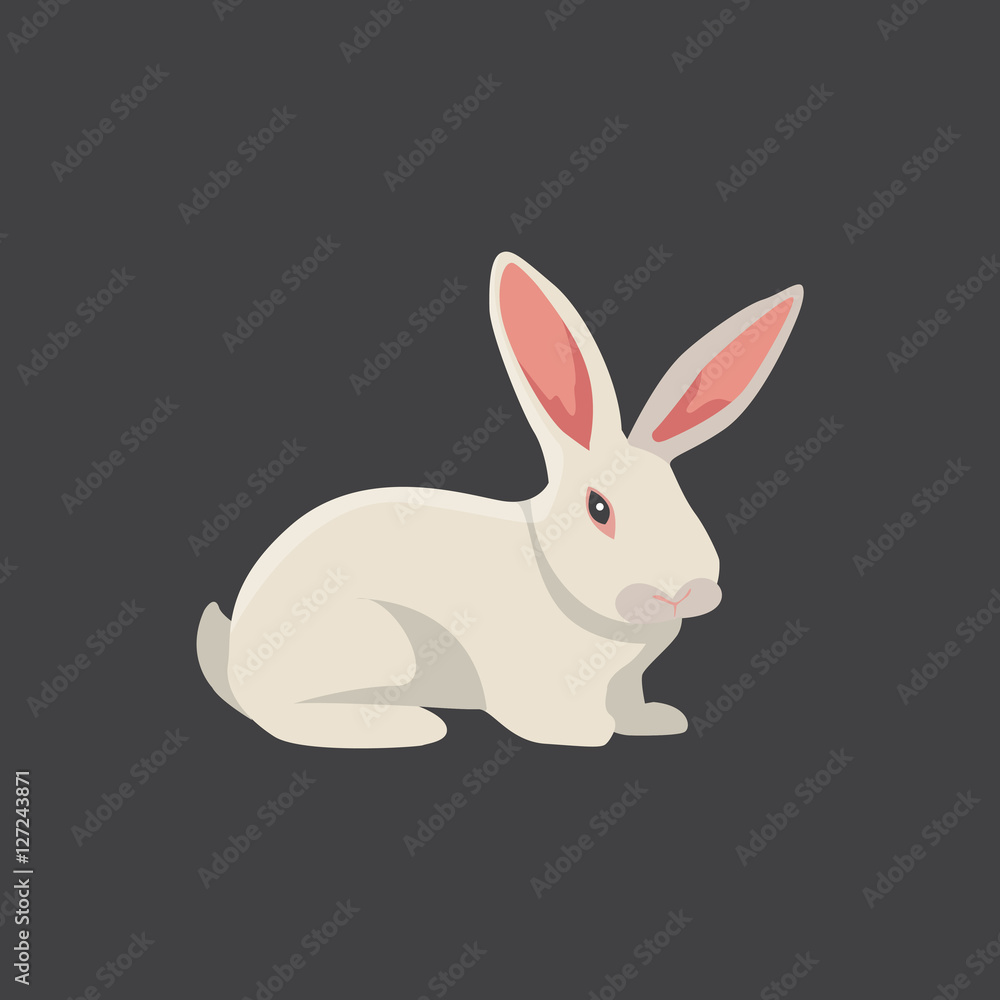white rabbit vector