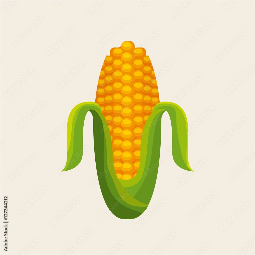 corn vegetable icon over white background corn vegetable icon over white background