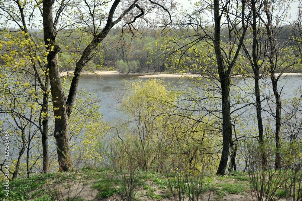 spring landscape