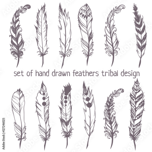 set of hand drawn feathers for American Indian Dreamcatcher masc