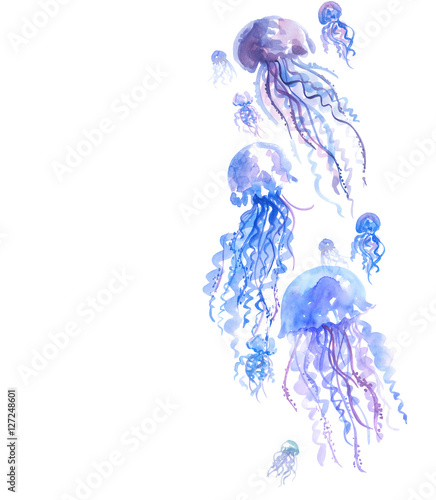 isolated pale color tender ...