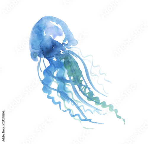 isolated pale color tender jellyfish watercolor illustration. ha photo