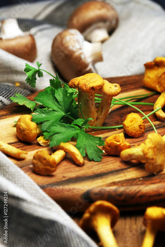 Raw wild chanterelle mushrooms redy for cooking. Composition with wild mushrooms