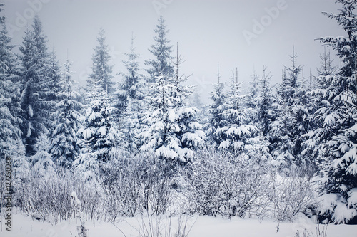  snowy winter landscape © Melinda Nagy