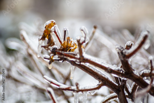 Freezing rain, when frost is not snow, but rain, water freezes o