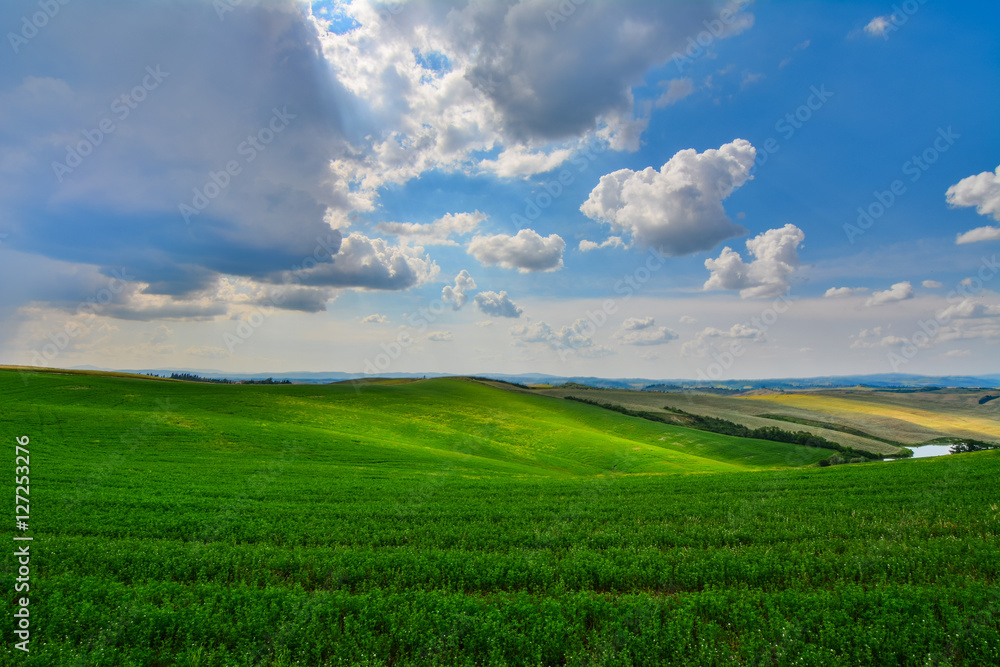 Green hills with flowers and trees Green hills with flowers and trees