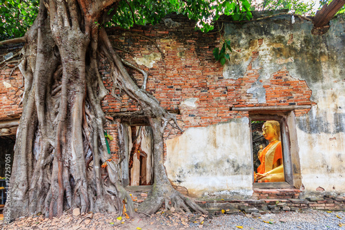 Unseen Thailand, Ruins of old temple with a Bodhi tree root, Wat Sang Kra Tai, Angthong, Thailand (Public property)