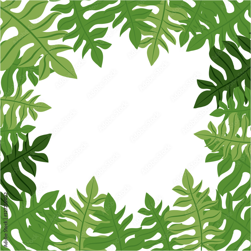 Tropical leaves icon. Nature plant  botany summer and natural theme. Vector illustration