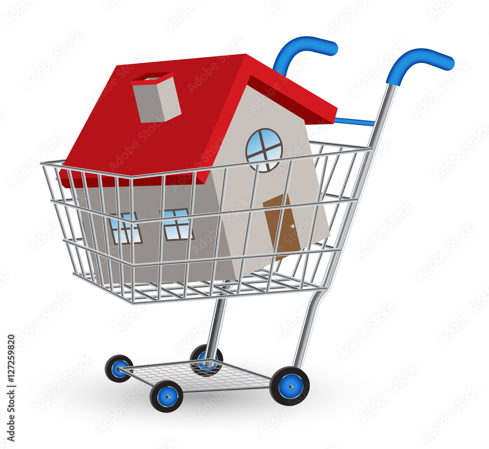 house in a shopping cart
house in a shopping cart