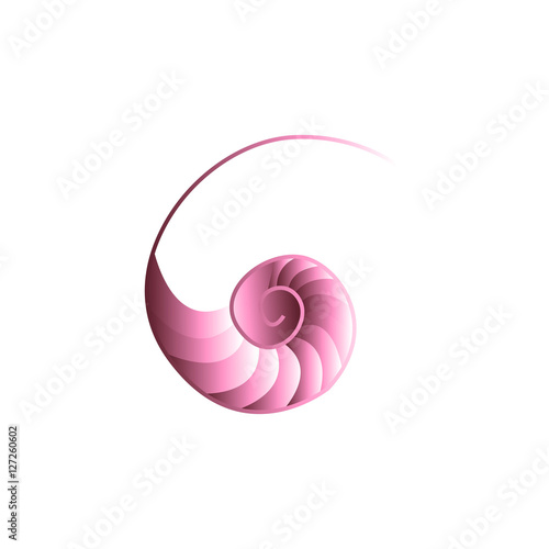 Shell Seashell Vector