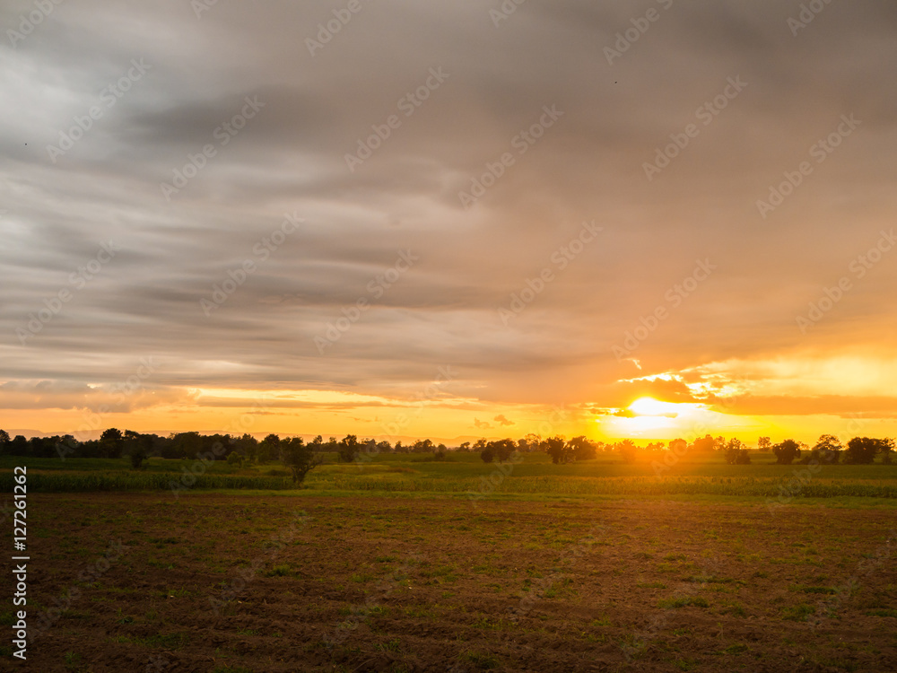 Farm landscape - sunset background
