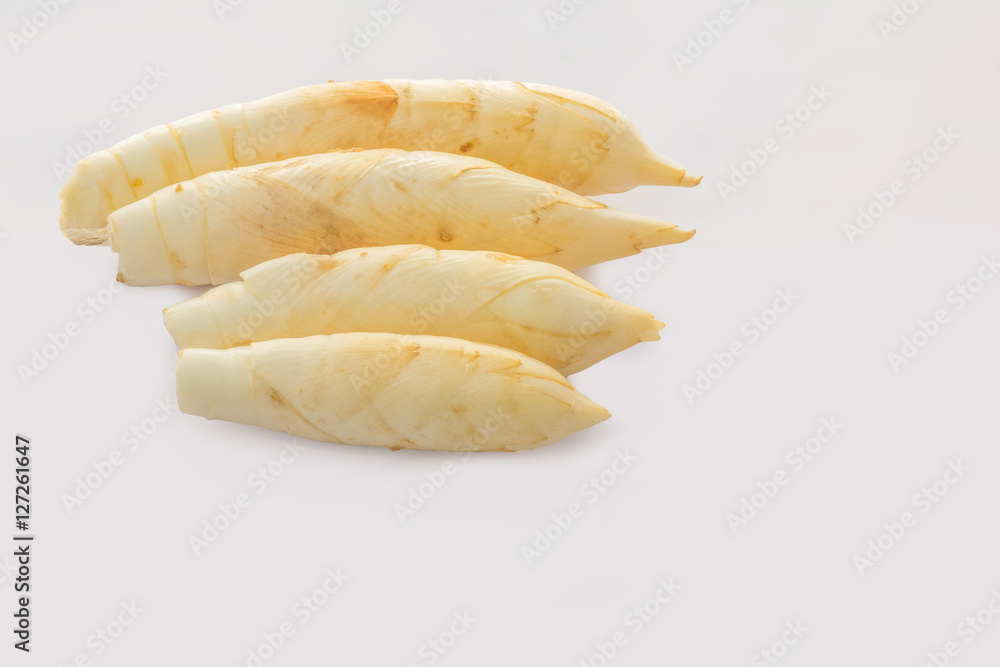 Abstract soft focus of the West Indian Arrow-Root,Maranta arundinacea,Canna indica,Australian arrowroot,Myrantacae,with the white copy space background.The local,herb, vegetable and Thailand food.