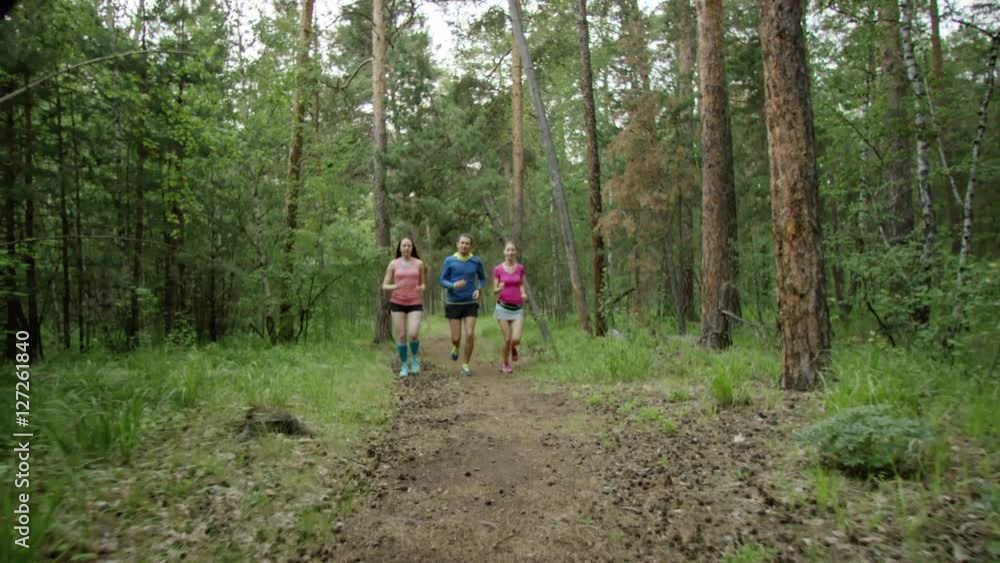 run training in the forest run training in the forest