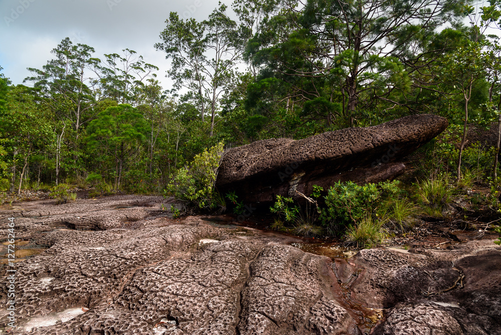 Telok padan kecil Cliff in Bako National Park Telok padan kecil Cliff in Bako National Park
