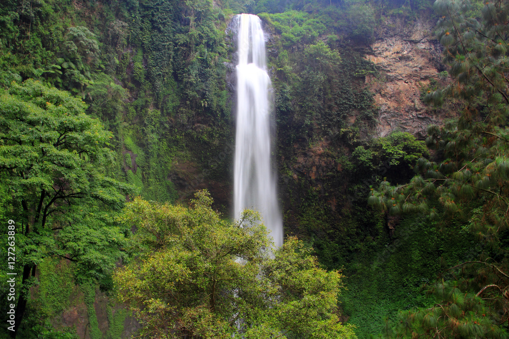 Waterfall in a rainforest