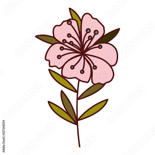 Flower icon. Decoration rustic garden floral nature plant and spring theme. Isolated design. Vector illustration