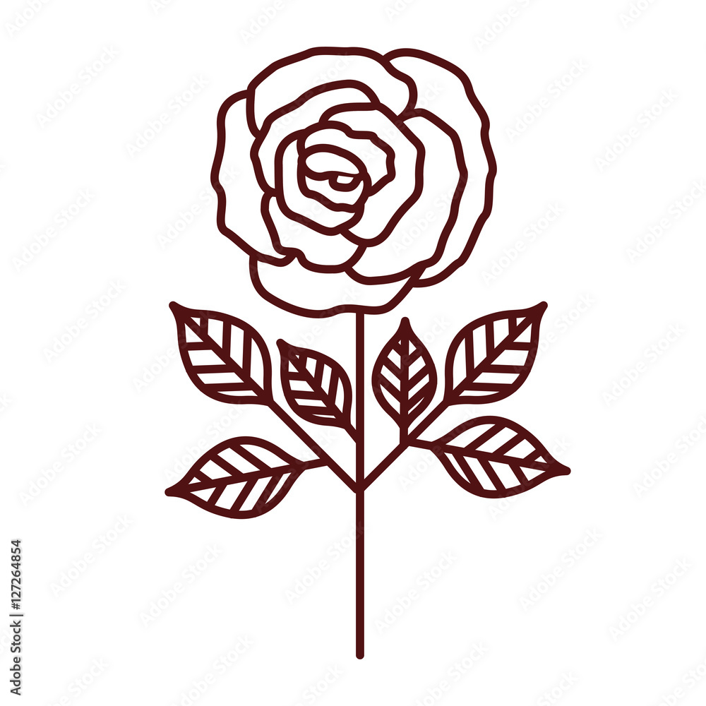 Rose flower icon. Decoration rustic garden floral nature plant and spring theme. Isolated design. Vector illustration Rose flower icon. Decoration rustic garden floral nature plant and spring theme. Isolated design. Vector illustration