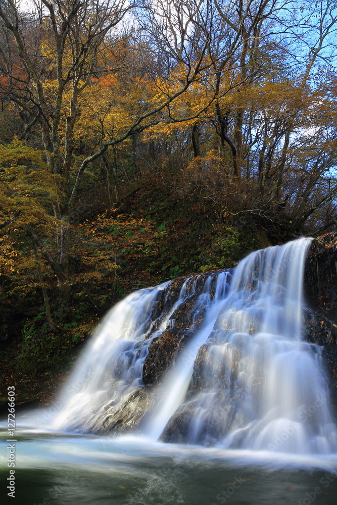 Fototapeta premium 葛丸渓流 紅葉の一の滝