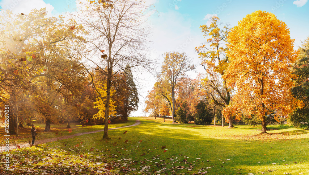 Herbst im Park, mit Lichtstrahlen im Nebel und fallenden Blättern am Bodensee