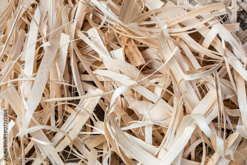 Wooden Shavings Background. Photo shows a pine wooden shavings background pattern. 