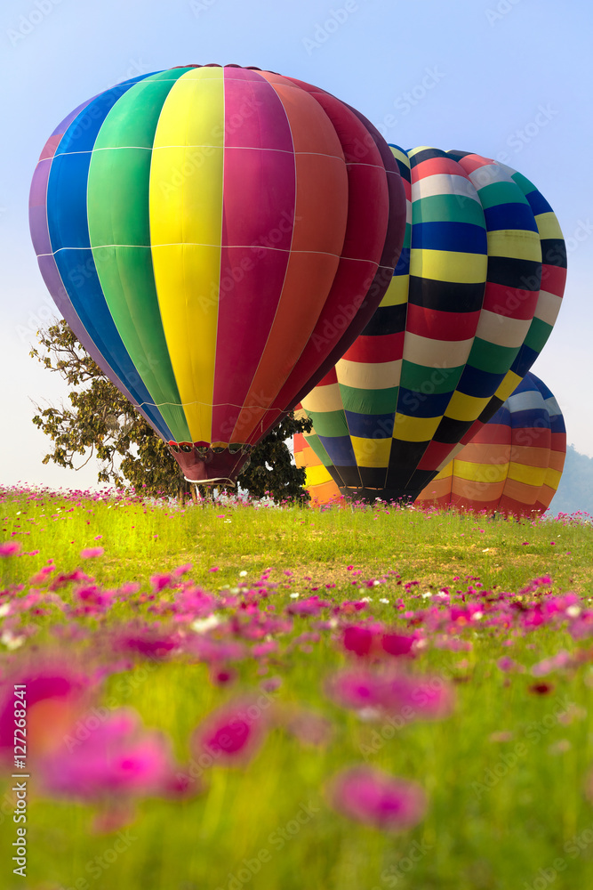 Obraz premium Hot air balloon over cosmos flowers with blue sky