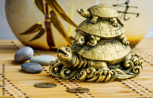 Feng-shui turtles photo