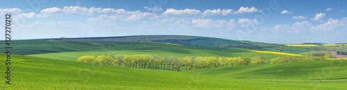panorama with spring grove and sky