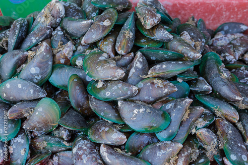 Fresh mussels at the market in Thaillnd