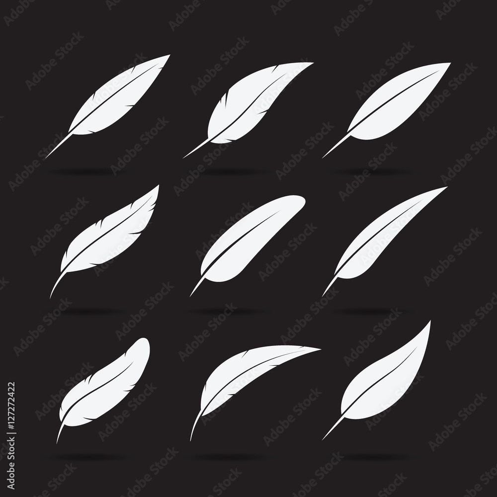 Vector group of feather on white background. Feather Icon. Vector group of feather on white background. Feather Icon.