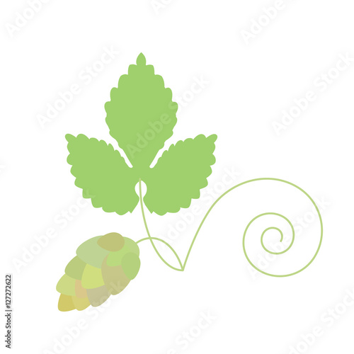 leaf hop and hop cone