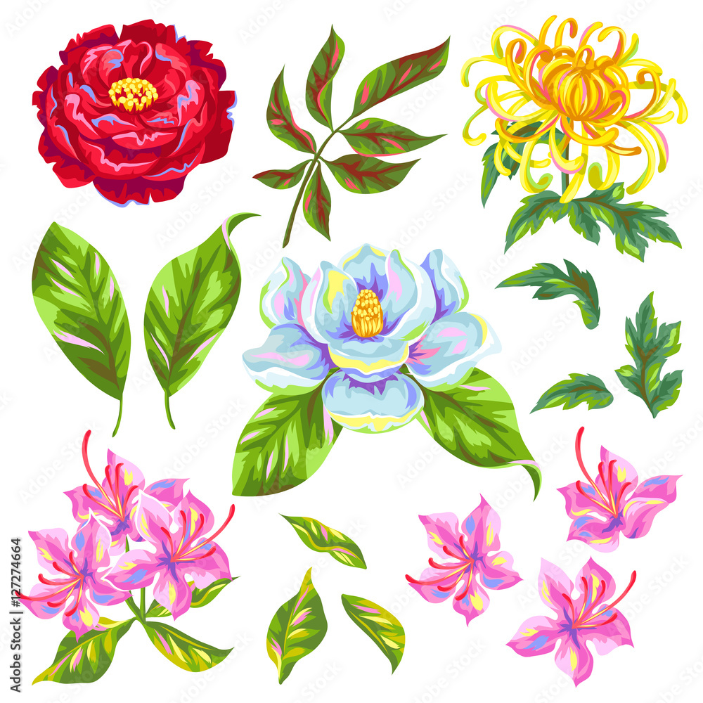Fototapeta premium China flowers set. Bright buds of magnolia, peony, rhododendron and chrysanthemum