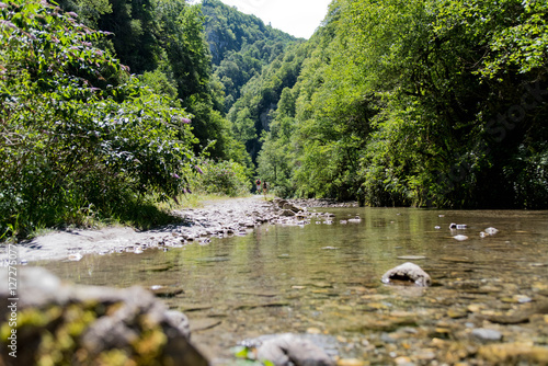 Schilderij op canvas Rivière dans les Pyrénées