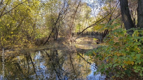 golden autumn