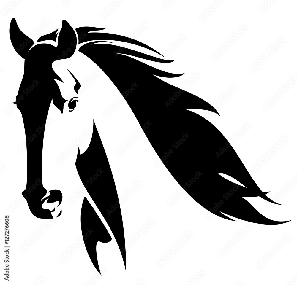 Fototapeta dziki koń głowa czarno-biały wektor wzór