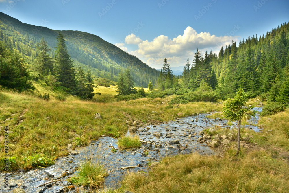 mountain river in the Mountains