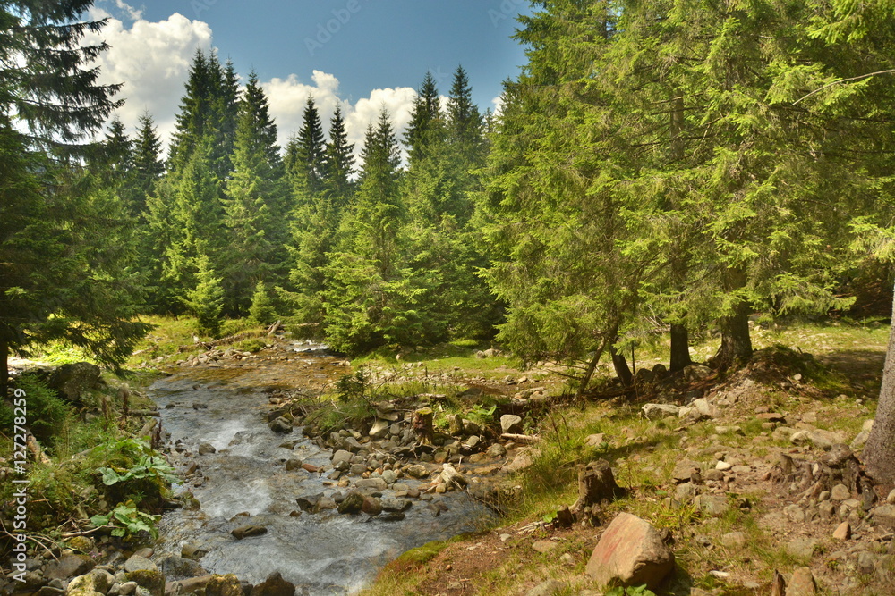 Obraz premium mountain river in the Mountains